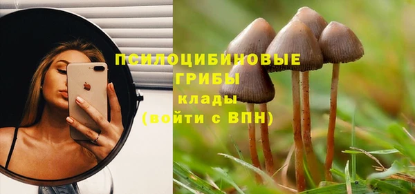 2c-b Алексин