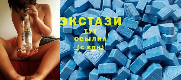 гидра Абаза