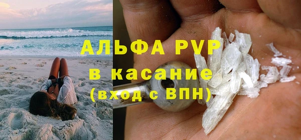 гидра Абаза