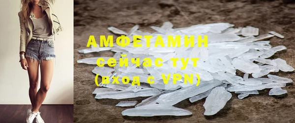 гидра Абаза